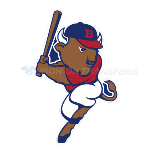 Buffalo Bisons Iron-on Stickers (Heat Transfers)NO.7940